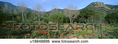 Stock Photo - Garden At Center for Earth Concerns. Fotosearch