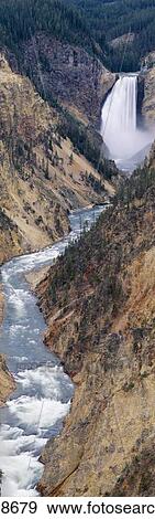 Stock Photo - Lower Falls at Grand Canyon of Yellowstone. Fotosearch