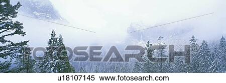 Misty mountains in Yosemite Valley View Large Photo Image Stock Photography - Misty mountains in Yosemite Valley. Fotosearch