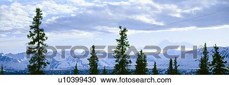 Mount McKinley View Large Photo Image Stock Image - Mount McKinley. Fotosearch