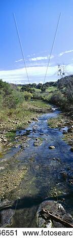 Spring creek in Upper Ojai View Large Photo Image Stock Image - Spring creek in Upper Ojai. Fotosearch