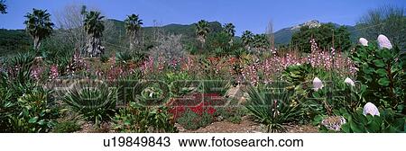 Stock Image - Garden. Fotosearch