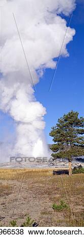 Stock Photo - Old Faithful geyser erupting at sunrise. Fotosearch