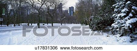 Panoramic view of walker in Central Park, Manhattan, New York City View Large Photo Image Stock Photograph - Panoramic view of walker in Central Park, Manhattan, New York City. Fotosearch