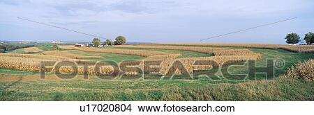 Picture - Rolling Farm Fields. Fotosearch