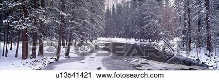 Snowy Merced River in Yosemite View Large Photo Image Stock Image - Snowy Merced River in Yosemite. Fotosearch