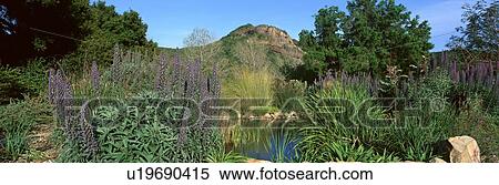 Stock Photography - Taft Gardens. Fotosearch