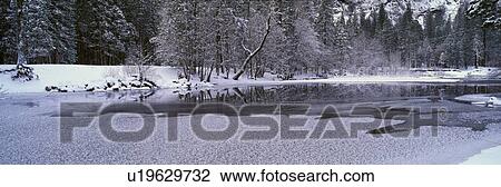 The Merced River In Winter, Yosemite National Park View Large Photo Image Stock Image - The Merced River In Winter, Yosemite National Park. Fotosearch