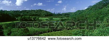 Stock Image - Valley in Kauai. Fotosearch
