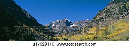 Aspens and morning light, Maroon Bells View Large Photo Image Stock Photograph - Aspens and morning light, Maroon Bells. Fotosearch