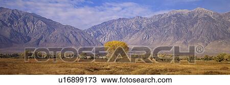 Autumn color along Highway 395 View Large Photo Image Stock Image - Autumn color along Highway 395. Fotosearch