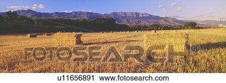 Hay Bails and Topa Topa Mountains View Large Photo Image Stock Image - Hay Bails and Topa Topa Mountains. Fotosearch