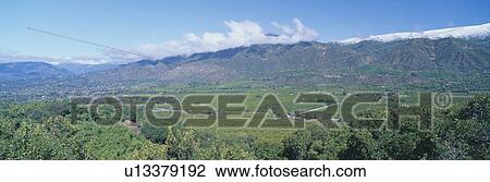 Orange groves and snowy mountains View Large Photo Image Stock Image - Orange groves and snowy mountains. Fotosearch
