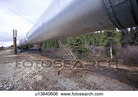 Trans-Alaska Pipeline at Route 4 View Large Photo Image Stock Photograph - Trans-Alaska Pipeline at Route 4. Fotosearch