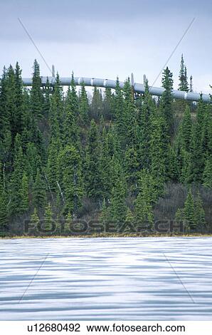 Trans-Alaska Pipeline View Large Photo Image Stock Image - Trans-Alaska Pipeline. Fotosearch