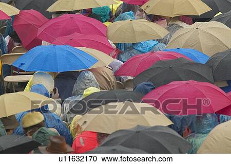 Guests hold umbrellas in the rain as they attend the official opening ceremony of the Clinton Presidential Library View Large Photo Image Stock Image - Guests hold umbrellas in the rain as they attend the official opening ceremony of the Clinton Presidential Library. Fotosearch