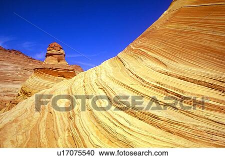 Close up of sandstone stripes, 'The Wave' on Kenab Coyote Butte View Large Photo Image Stock Image - Close up of sandstone stripes, 'The Wave' on Kenab Coyote Butte. Fotosearch