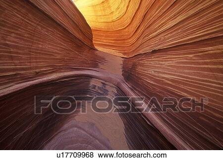 Close up of sandstone stripes, 'The Wave' on Kenab Coyote Butte View Large Photo Image Stock Photo - Close up of sandstone stripes, 'The Wave' on Kenab Coyote Butte. Fotosearch