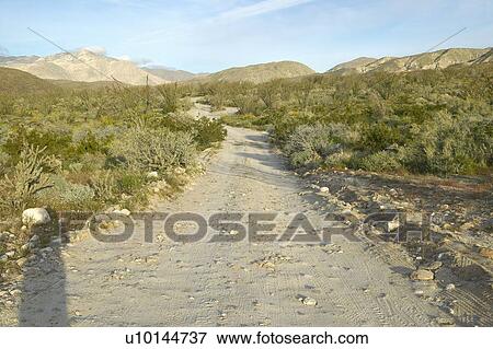Stock Photo - Desert road in spring at Coyote Canyon, Anza-Borrego Desert State Park. Fotosearch