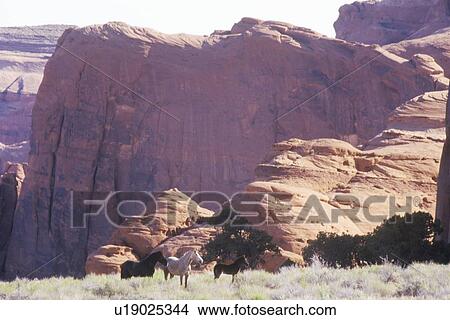 Picture - Monument Valley Tribal Park. Fotosearch