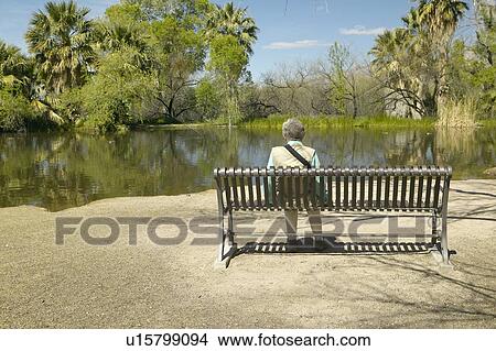 Person sitting on a bench admiring the spring nature in Agua Canyon, View Large Photo Image Picture - Person sitting on a bench admiring the spring nature in Agua Canyon,. Fotosearch