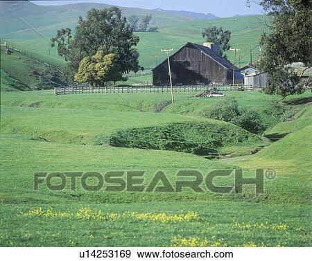 Stock Photo - Pastoral scene at springtime. Fotosearch