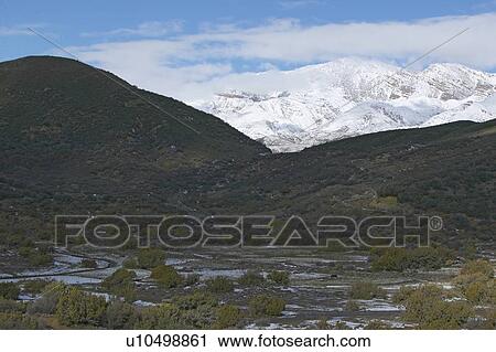 Winter scene along Highway 33, California View Large Photo Image Stock Image - Winter scene along Highway 33, California. Fotosearch