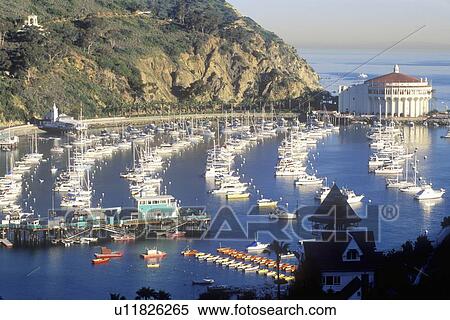 Avalon Harbor, Avalon, Catalina Island View Large Photo Image Stock Photography - Avalon Harbor, Avalon, Catalina Island. Fotosearch