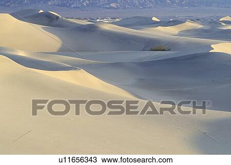 Stock Image - Desert Sand, Death Valley. Fotosearch
