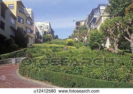 Lombard Street, the “crookedest” street in San Francisco, San Francisco, View Large Photo Image Stock Image - Lombard Street, the “crookedest” street in San Francisco, San Francisco,. Fotosearch