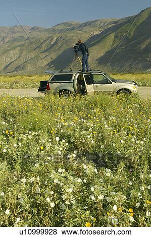 Photographer setting up camera on car rooftop in Anza-Borrego Desert State Park View Large Photo Image Stock Photo - Photographer setting up camera on car rooftop in Anza-Borrego Desert State Park. Fotosearch
