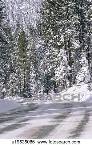 Stock Photograph - Road in snow covered forest. Fotosearch