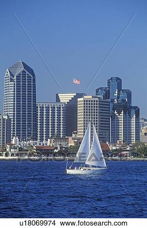 Sailboat sails in view of the San Diego skyline as seen from Coronado, San Diego View Large Photo Image Picture - Sailboat sails in view of the San Diego skyline as seen from Coronado, San Diego. Fotosearch