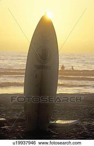 Stock Photograph - Silhouetted surfboard on the beach at sunset. Fotosearch
