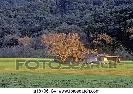 Spring in Ojai View Large Photo Image Picture - Spring in Ojai. Fotosearch