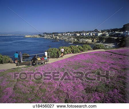 Springtime along the Pacific Coast Highway/Route 1 View Large Photo Image Stock Photo - Springtime along the Pacific Coast Highway/Route 1. Fotosearch