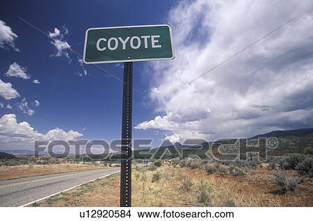 Picture - A road sign reads Coyote. Fotosearch