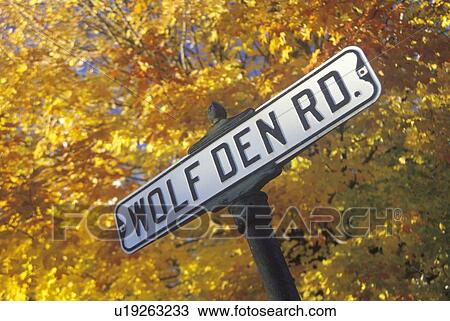 Stock Image - A sign that reads “Wolf Den Road”. Fotosearch