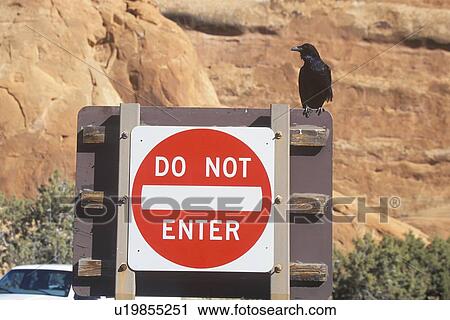 A sign that reads “Do not enter” View Large Photo Image Stock Image - A sign that reads “Do not enter”. Fotosearch