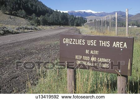 A sign that reads “Grizzlies use this area” View Large Photo Image Stock Image - A sign that reads “Grizzlies use this area”. Fotosearch