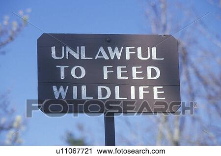 A sign that reads “Unlawful to feed wildlife” View Large Photo Image Stock Image - A sign that reads “Unlawful to feed wildlife”. Fotosearch