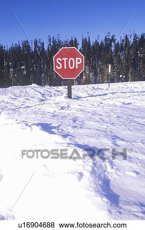 Stock Photo - Stop sign in the snow at Grand Teton National Park, Jackson, WY. Fotosearch