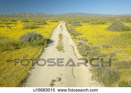 A remote dirt road, Southern California View Large Photo Image Stock Photography - A remote dirt road, Southern California. Fotosearch