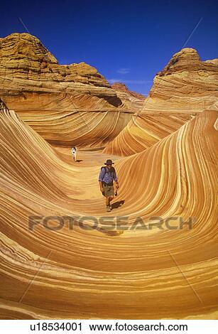 Close up of sandstone stripes, 'The Wave' on Kenab Coyote Butte View Large Photo Image Stock Image - Close up of sandstone stripes, 'The Wave' on Kenab Coyote Butte. Fotosearch