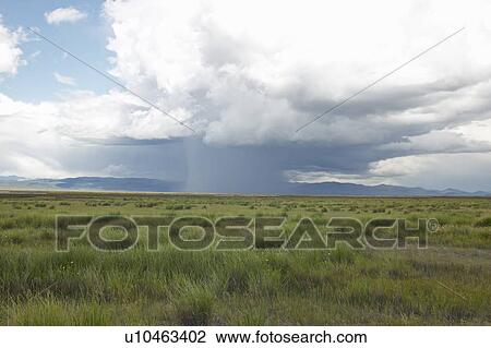 Storm clouds over grasslands and mountains at Red Rock Lake in Centennial Valley View Large Photo Image Stock Image - Storm clouds over grasslands and mountains at Red Rock Lake in Centennial Valley. Fotosearch
