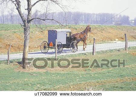 A horse and carriage in an Amish farming community View Large Photo Image Stock Photo - A horse and carriage in an Amish farming community. Fotosearch