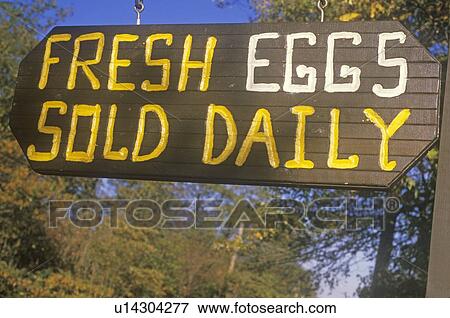 Stock Photo - A sign that reads “Fresh eggs sold daily”. Fotosearch