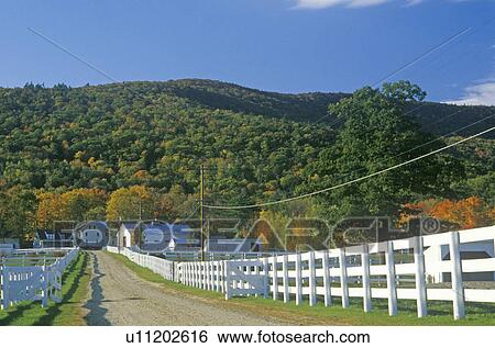 Stock Photograph - A white fence leading to a home. Fotosearch