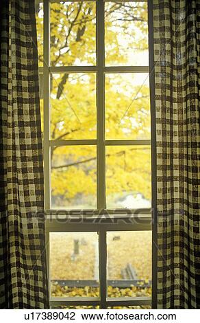 Gingham curtains framing view of Autumn leaves View Large Photo Image Stock Image - Gingham curtains framing view of Autumn leaves. Fotosearch