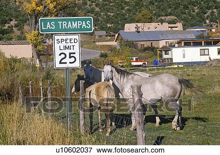 Stock Photo - Horses on High Road. Fotosearch